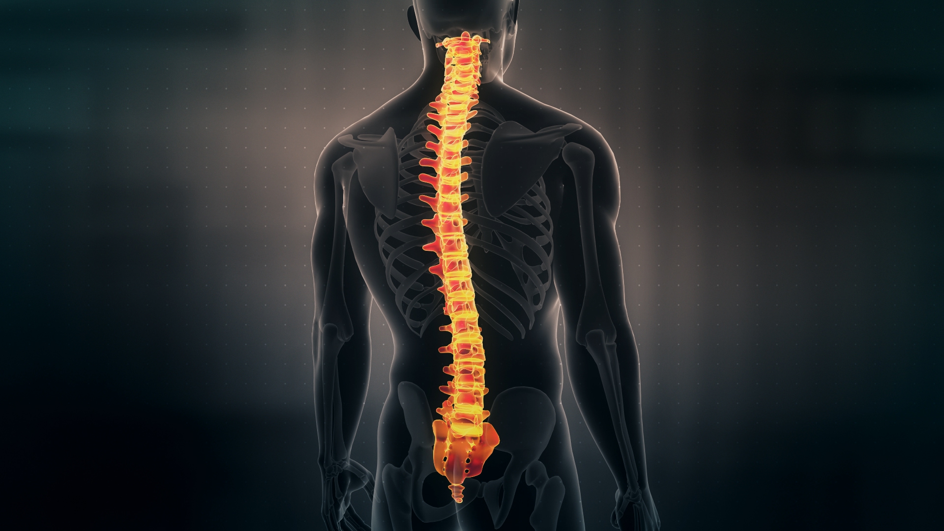 Patching or Fixing: The Key to Spinal Health